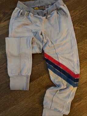 Aviator Nation Light Gray Joggers with Red, Navy & Cream Stripe Details